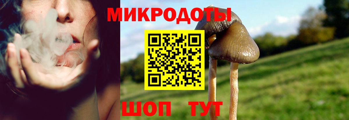 Ялуторовск  Галлюциногенные грибы Magic Shrooms  Псилоцибиновые грибы прущие грибы  Вход с VPN 